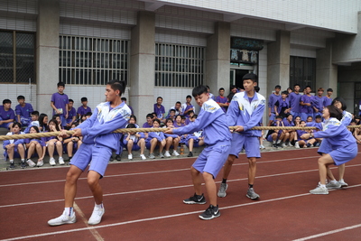 圖片