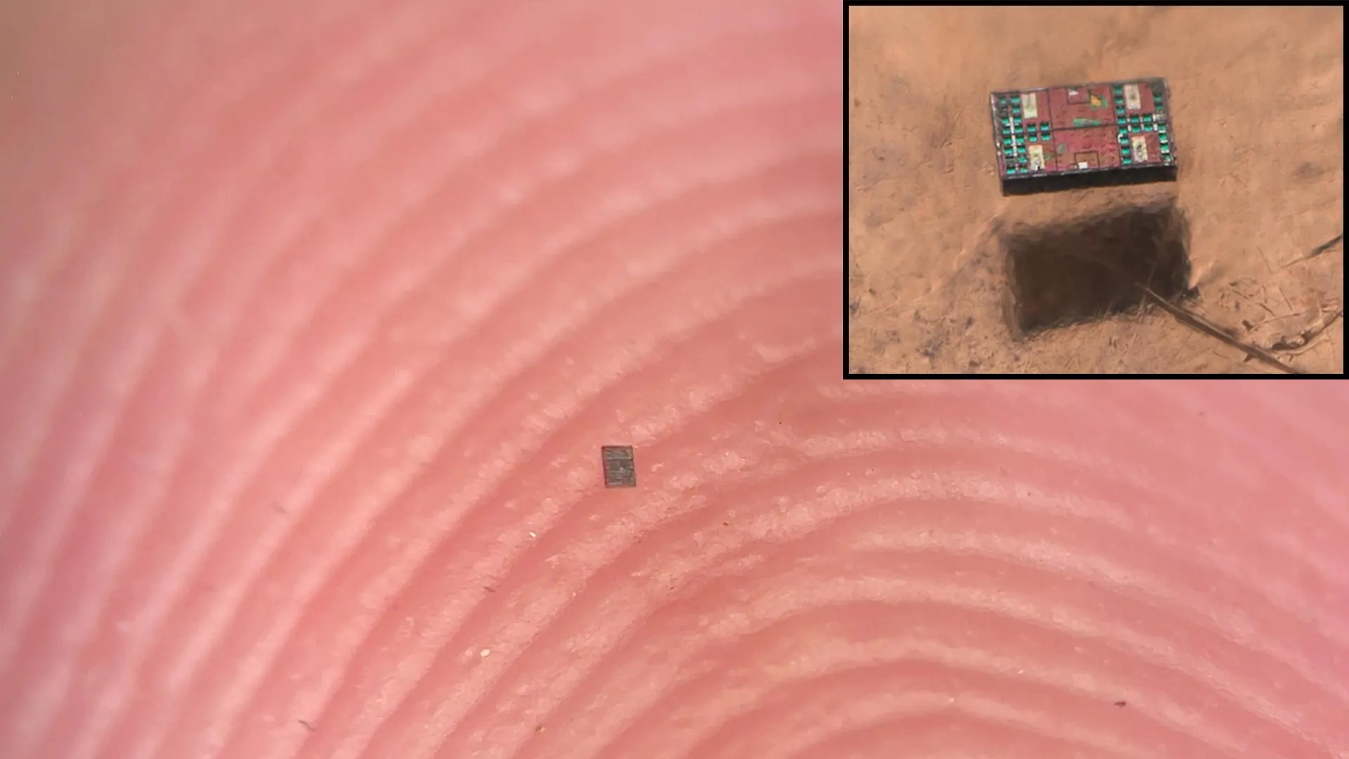 a tiny robot
