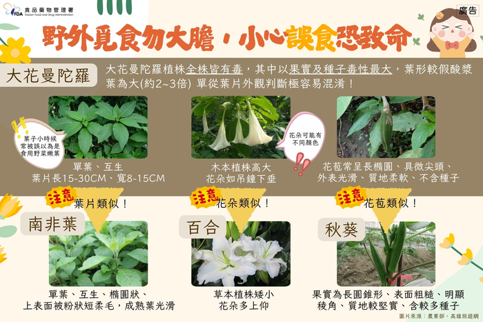 轉知：「不採、不食野生不明動植物」，以降低食品中毒風險圖片